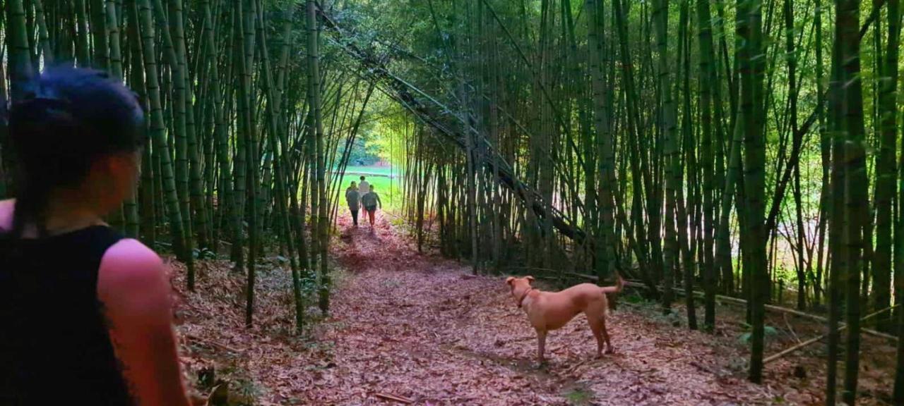 Pousada Green Valley São Roque Esterno foto